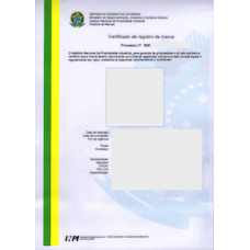 Brazil Trademark Registration Application